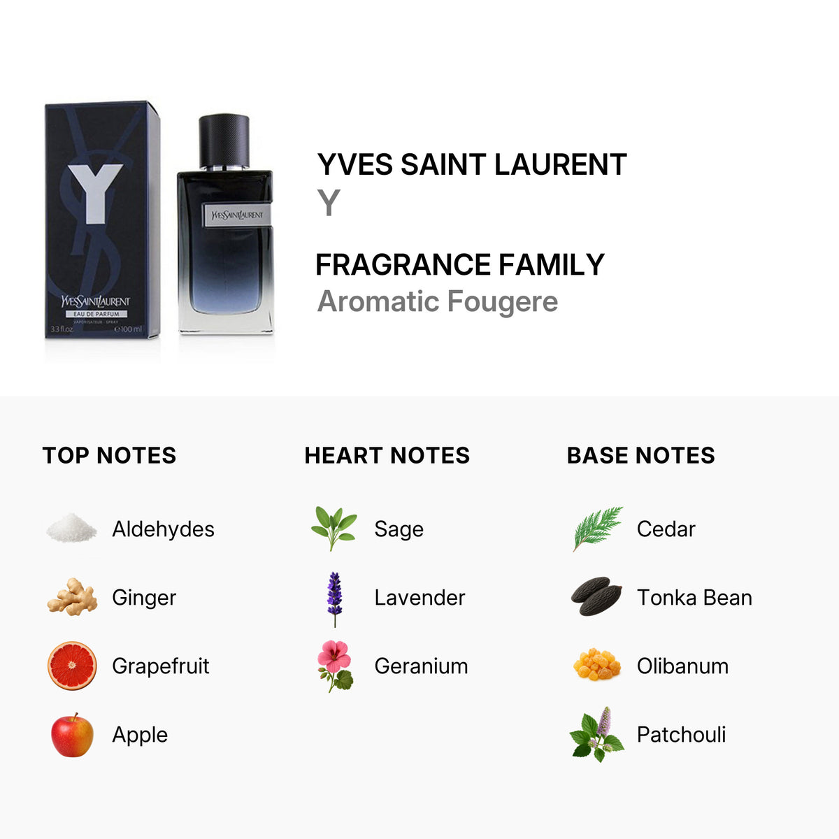 Yves Saint Laurent
